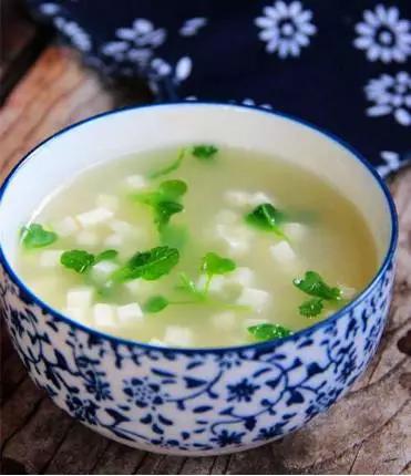 吃野菜马齿菜的功效,马齿苋和荠菜哪个好吃