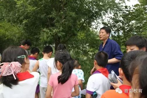 liang校园︱爱乐实验小学：生命因我而动听