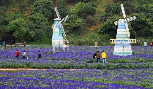 东莞最值得去的游玩地方,东莞最好游玩的地方