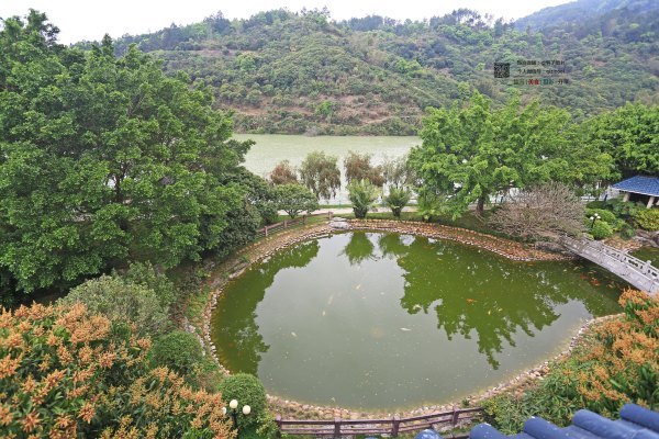 有一种春天叫牡丹花开,有一种春天叫花开艳丽