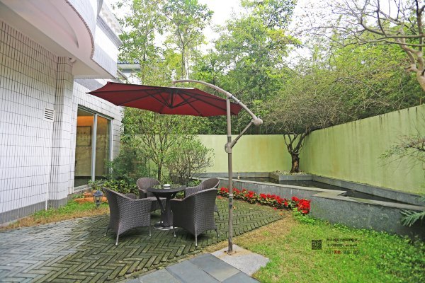 有一种春天叫牡丹花开,有一种春天叫花开艳丽