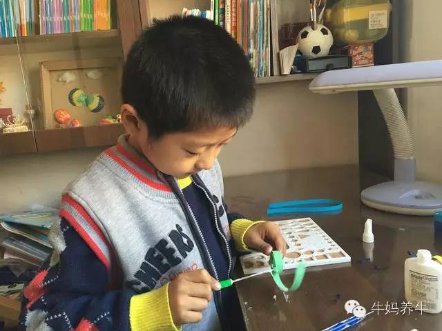 衍纸创意手工简单图片,衍纸手工亲子