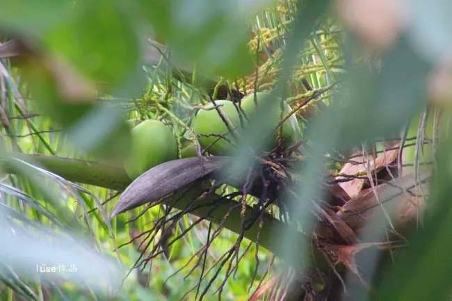 三亚最美的夕阳日落,夕阳的落下