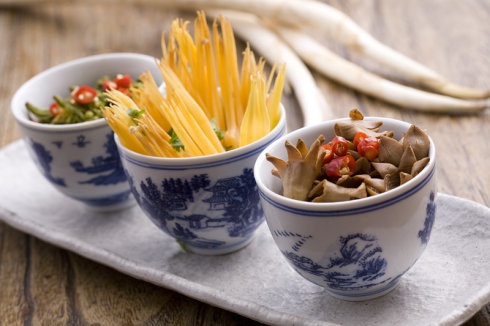 春日鲜花美食大赏,春天常见的四十种鲜花