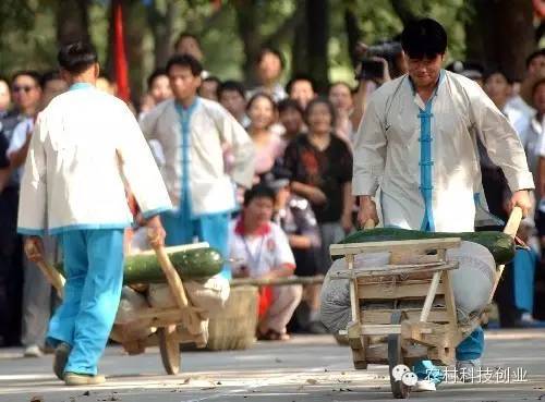 休闲农业十大盈利模式,休闲农业致富方法