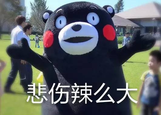 vans第一双滑板鞋,vans在哪里发售新鞋