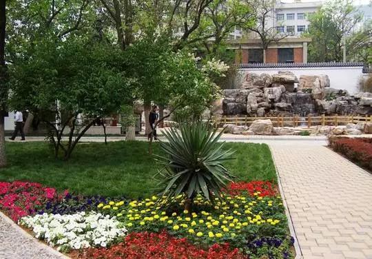 天津三月初哪个公园值得逛,天津最值得去的公园