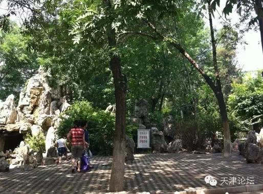 天津三月初哪个公园值得逛,天津最值得去的公园