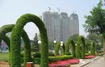 天津三月初哪个公园值得逛,天津最值得去的公园