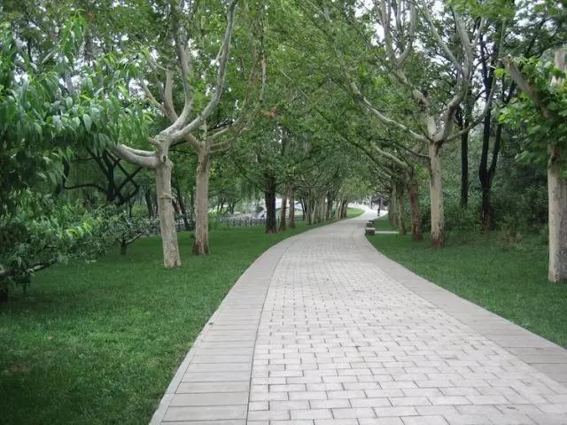 天津三月初哪个公园值得逛,天津最值得去的公园