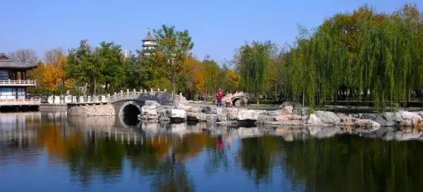 天津三月初哪个公园值得逛,天津最值得去的公园