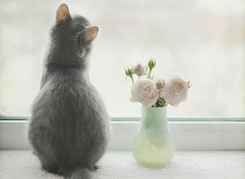 不同星座男生吃醋时的表现,最能吃醋的星座男