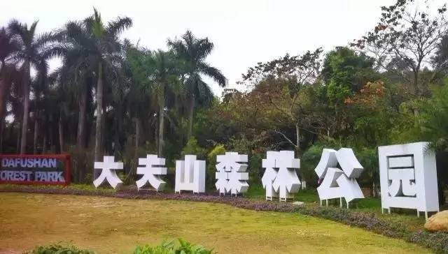 广州地铁收藏,广州地铁线路图建议收藏