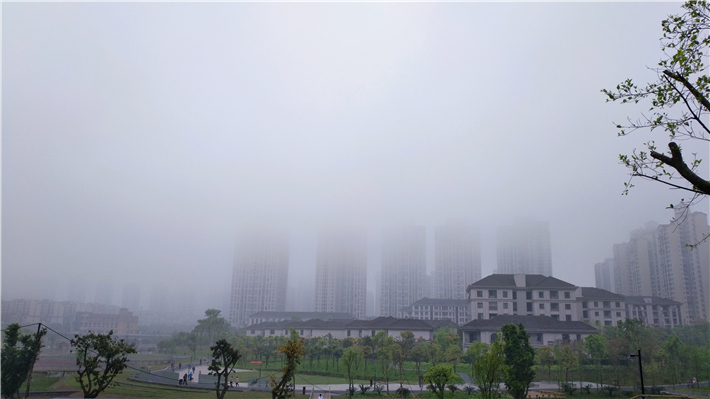 vivoxplay5测评吃鸡,vivoxplay5原神体验