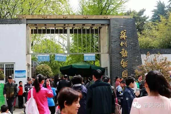 苏州园区以旧换新房价会怎样,苏州新鲜事今日头条