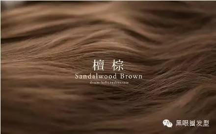 2016流行什么色,2011年流行发色