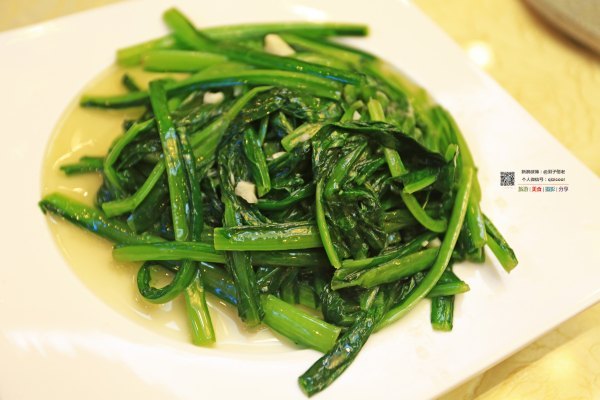 有一种春天叫牡丹花开,有一种春天叫花开艳丽