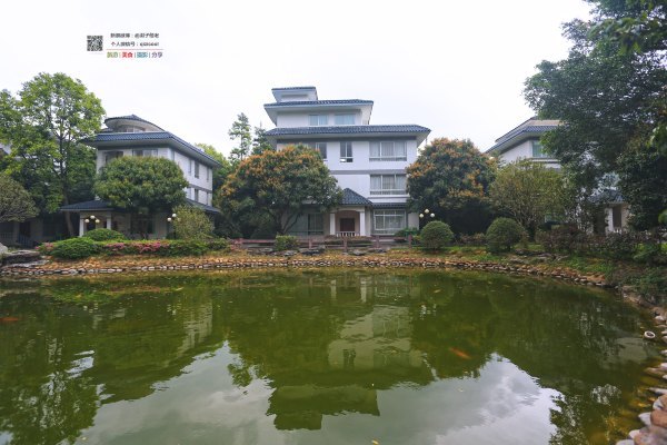 有一种春天叫牡丹花开,有一种春天叫花开艳丽