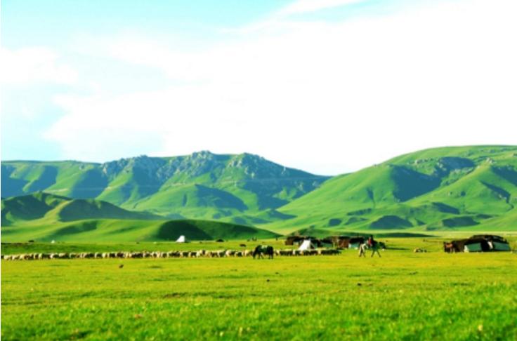 阿坝有个壤塘县，误落凡间的天空之城，美得真实，美得醉人