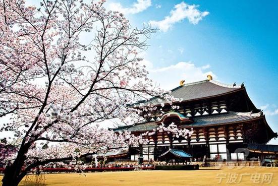 三国东亚文化之都“躁”起来8条线路带您穿梭中韩日