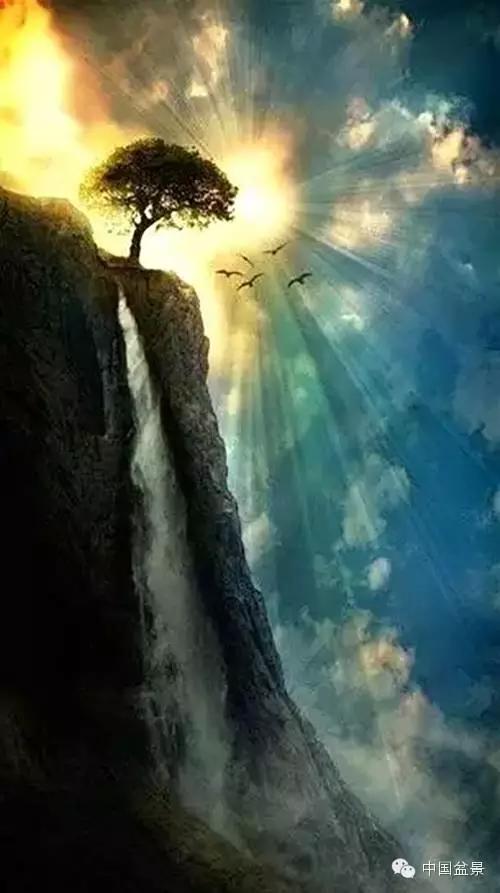 文人树盆景美不胜收,中国神奇的十大盆景