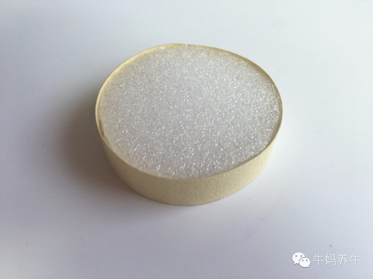 衍纸创意手工简单图片,衍纸手工亲子