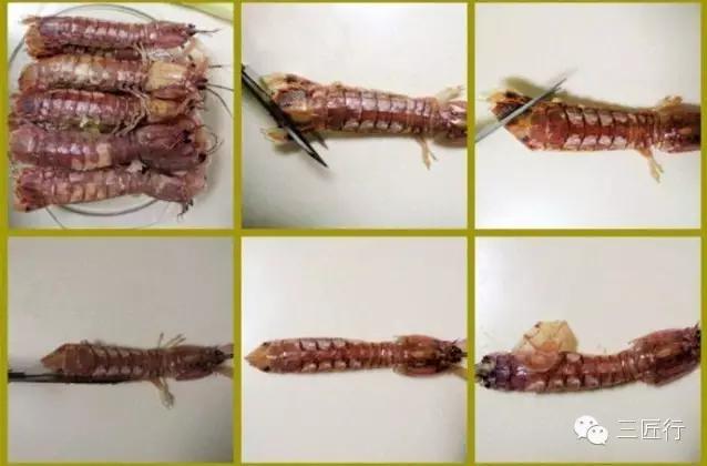 怎么挑皮皮虾视频,怎么挑皮皮虾带蛋