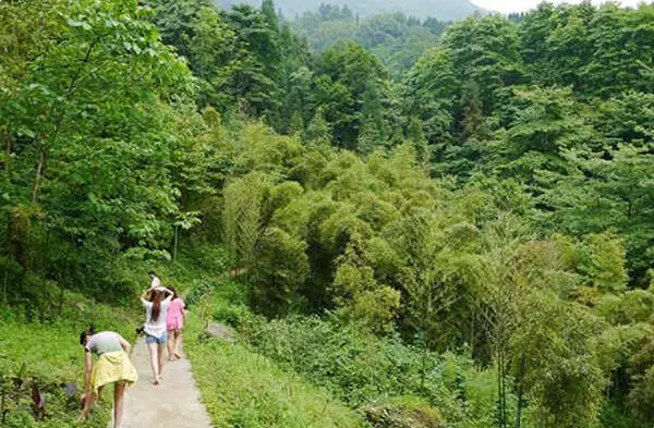 彭州龙门山宝山村,成都彭州白水河宝山村
