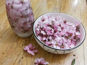 春日鲜花美食大赏,春天常见的四十种鲜花