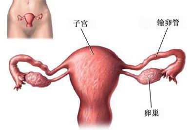 “上环”对身体隐藏极大的危机，而往往都会被轻忽，宝妈细看
