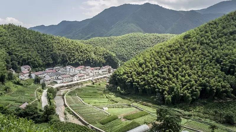 杭州最值得去吃的地方,杭州旅游美食推荐地点