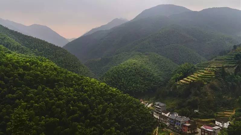 杭州最值得去吃的地方,杭州旅游美食推荐地点