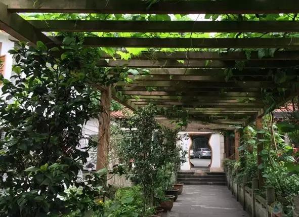 重庆周边农家乐旅游2-3天推荐地方,重庆荣昌附近哪里有好玩的农家乐