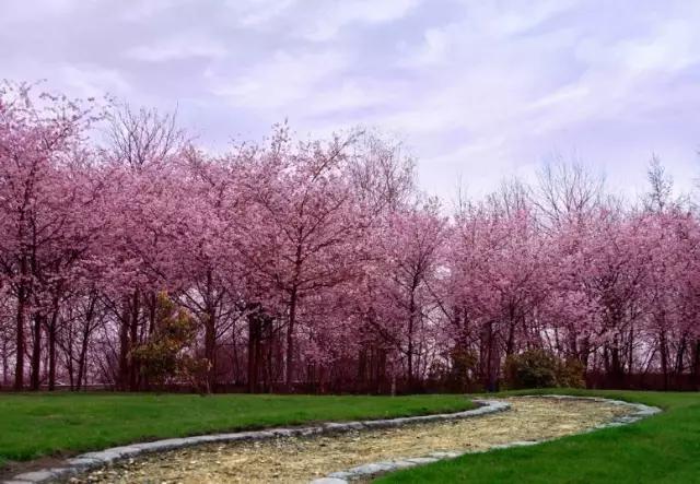 重庆是不是又出名了,为什么重庆在全国名气那么大