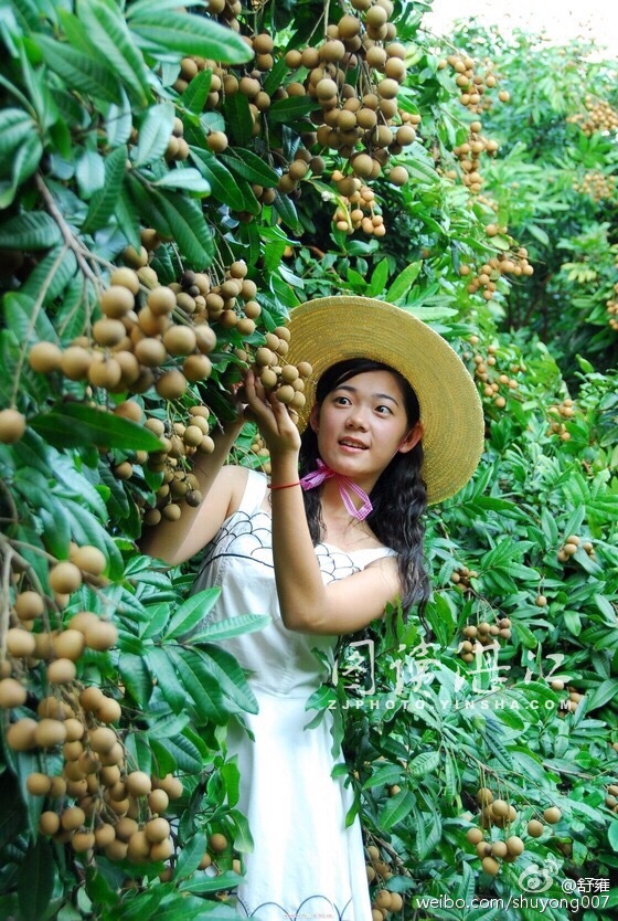 如何成为水果生鲜配送商 (o2o同城配送小程序)