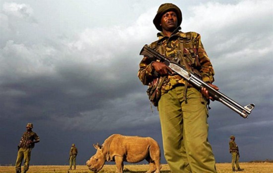 文玩界的*果禁**！这玩意实在太值钱，45名持枪士兵昼夜守卫！