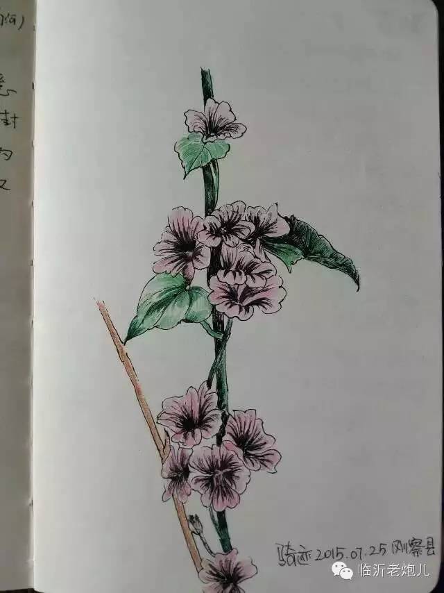 带上手鼓去旅行,带着旅行箱去旅行绘画