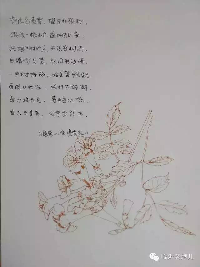 带上手鼓去旅行,带着旅行箱去旅行绘画