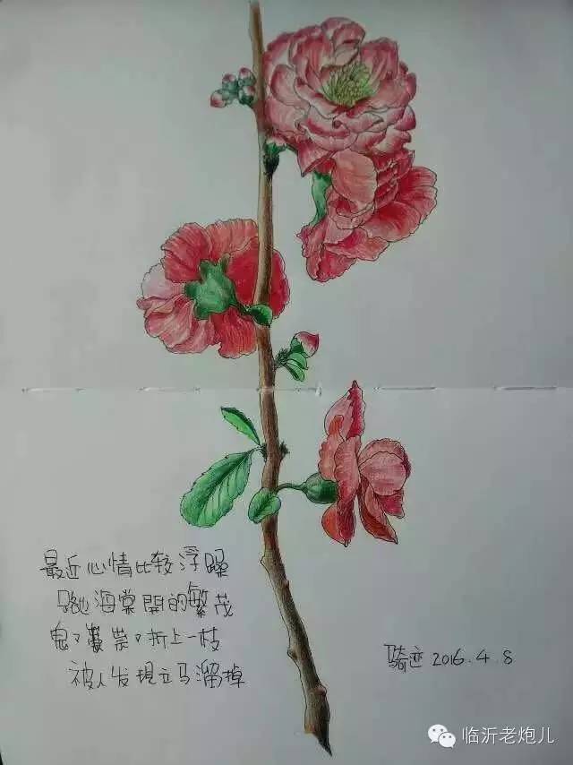 带上手鼓去旅行,带着旅行箱去旅行绘画