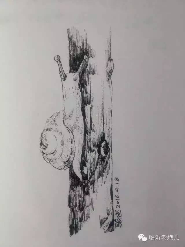 带上手鼓去旅行,带着旅行箱去旅行绘画