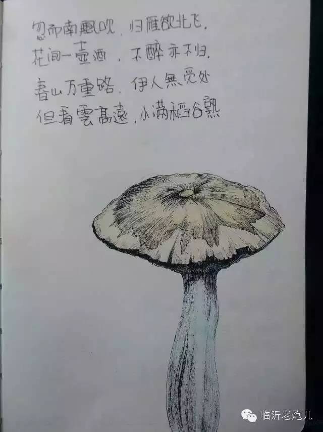 带上手鼓去旅行,带着旅行箱去旅行绘画