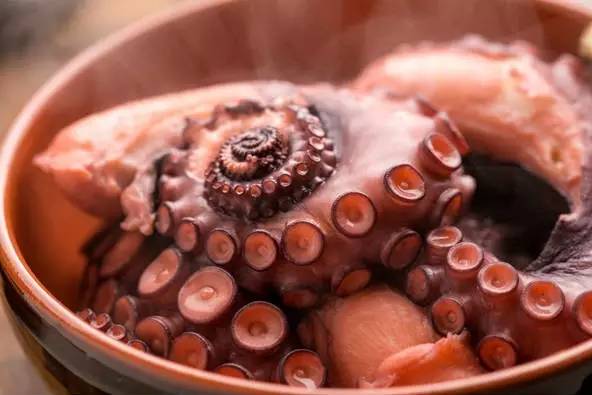 八爪鱼：满身的奇技淫巧，也敌不过煎炸炖炒