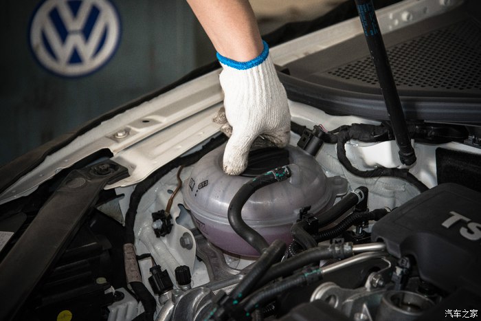 凌渡保养信息从哪里看,凌渡多久大保养