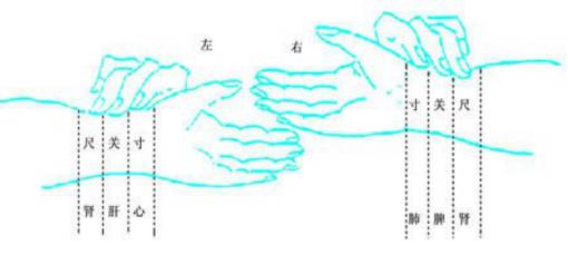 中医基础知识手把手教你诊脉,学中医诊脉哪里学