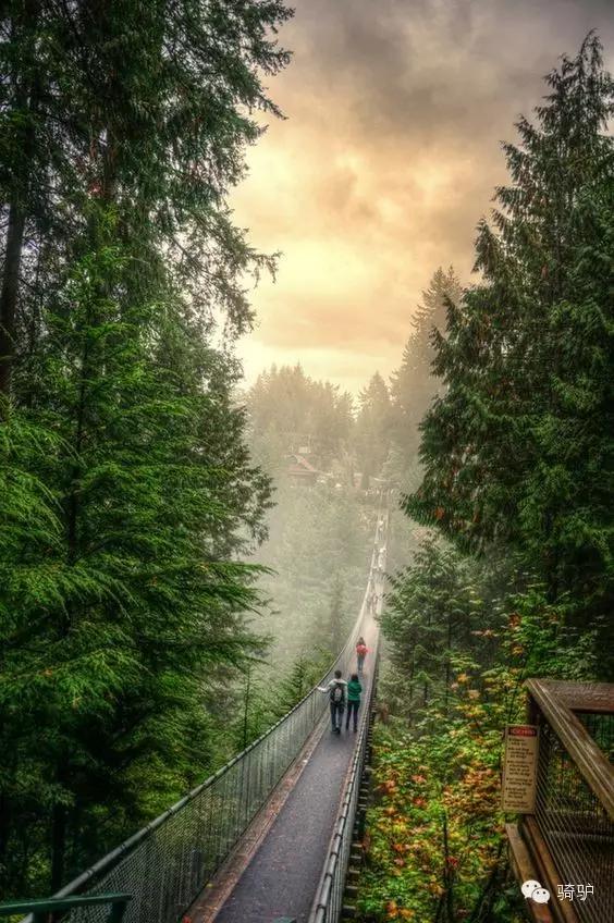 宜居城市维也纳,维也纳世界宜居城市第一名