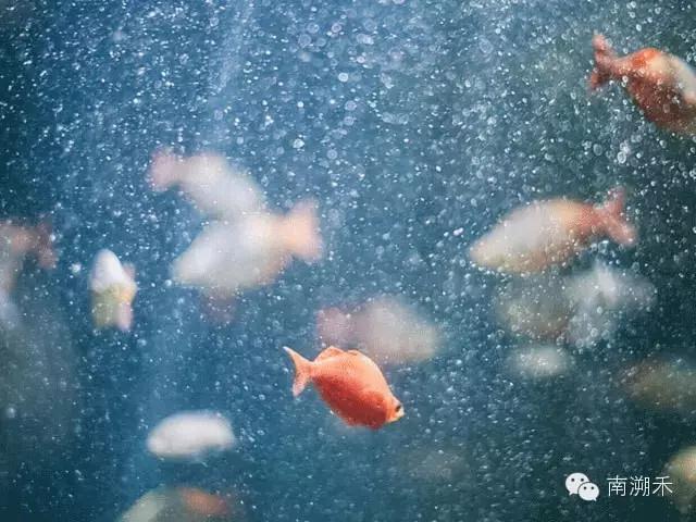 爱慕虚荣的女孩完整版韩剧,爱慕虚荣的女孩全集