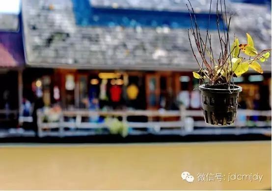 风情万种“*灯区红**”千娇百媚芭提雅