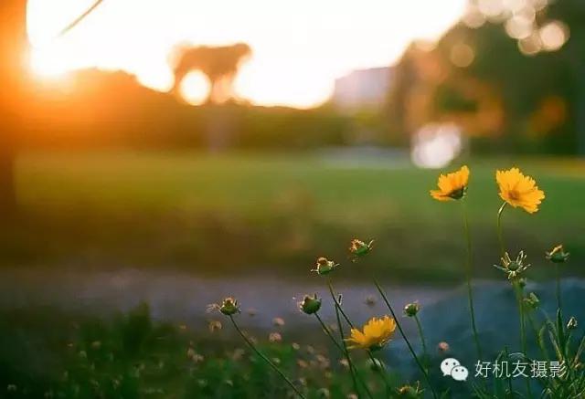 教你五招轻松告别近视眼,10秒钟学会这三招亮化设计技巧