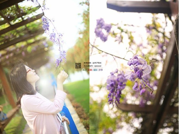 有一种春天叫牡丹花开,有一种春天叫花开艳丽