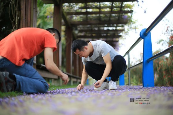 有一种春天叫牡丹花开,有一种春天叫花开艳丽